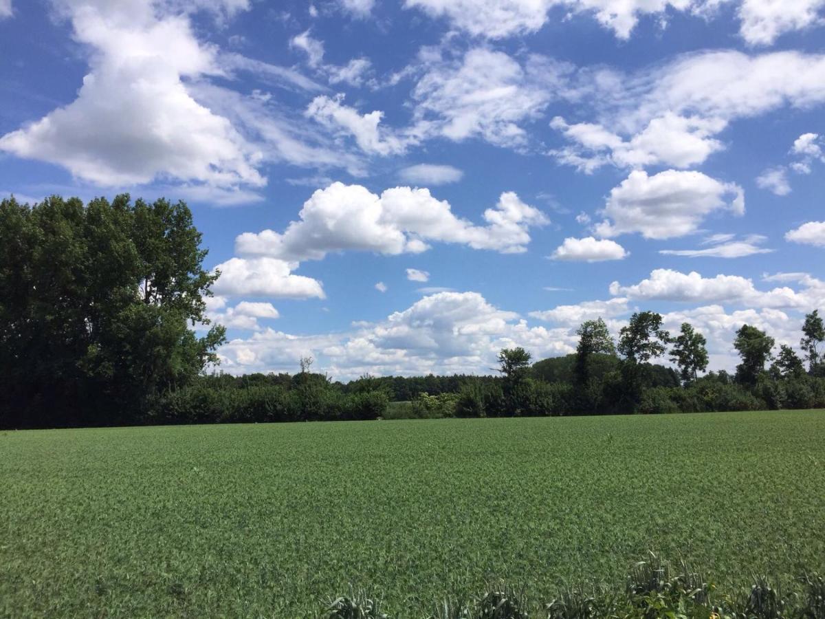 Hoeve Delshorst Heibloem Kültér fotó