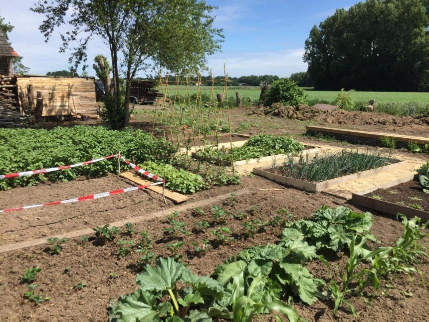 Hoeve Delshorst Heibloem Kültér fotó