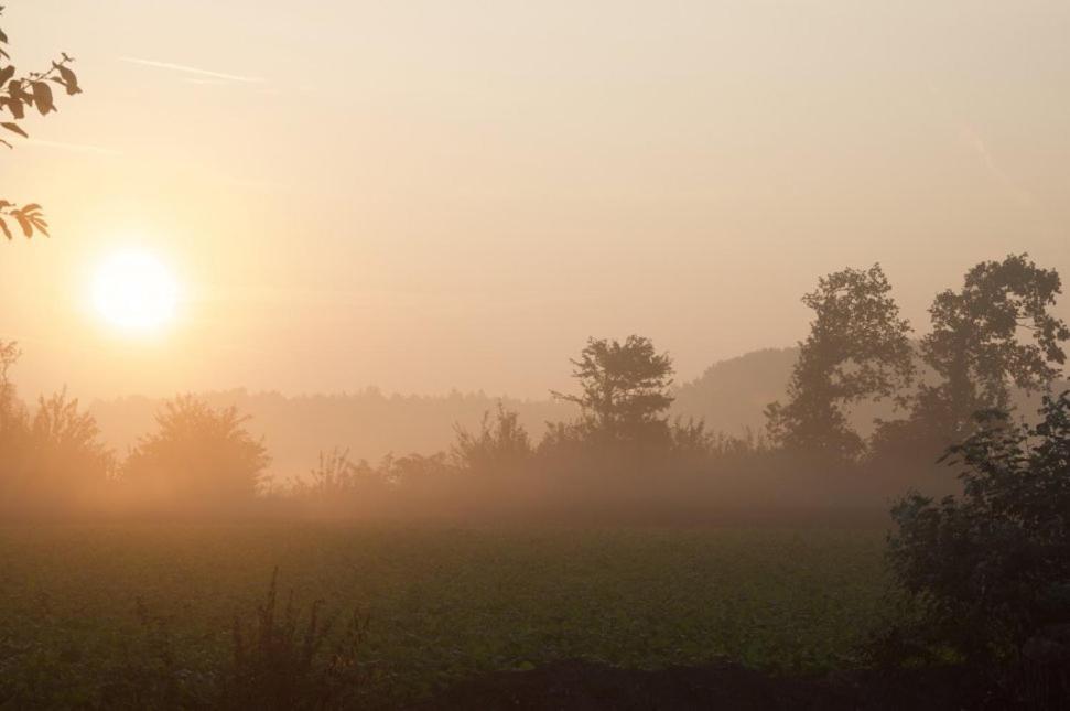 Hoeve Delshorst Heibloem Kültér fotó