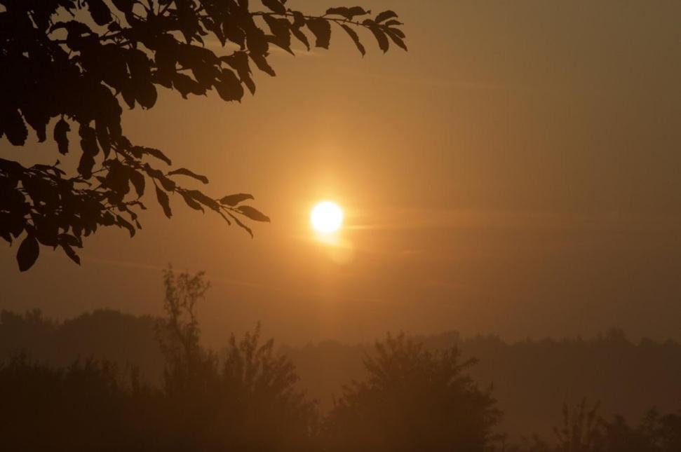 Hoeve Delshorst Heibloem Kültér fotó